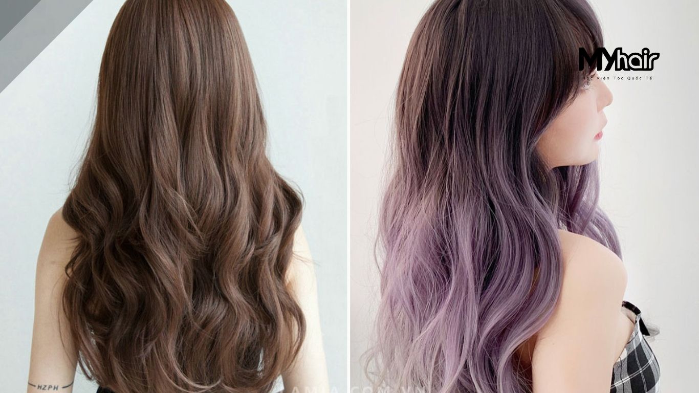 Câu Hỏi Thường Gặp