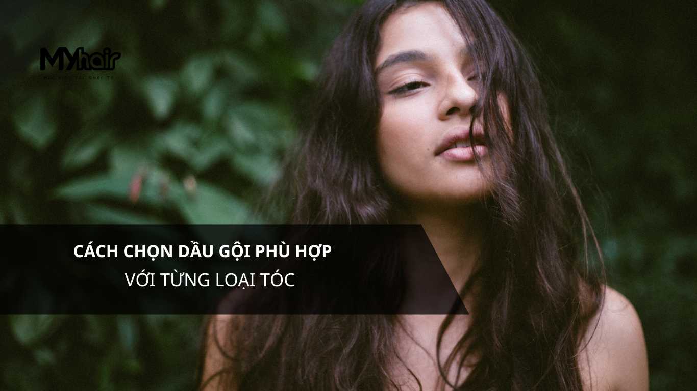 Cách chọn dầu gội phù hợp với từng loại tóc