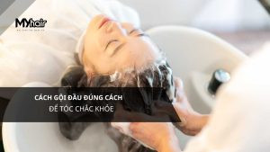 Cách gội đầu đúng cách để tóc chắc khỏe