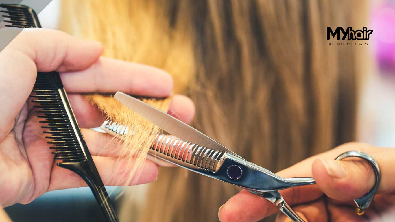 Câu Hỏi Thường Gặp (FAQs)