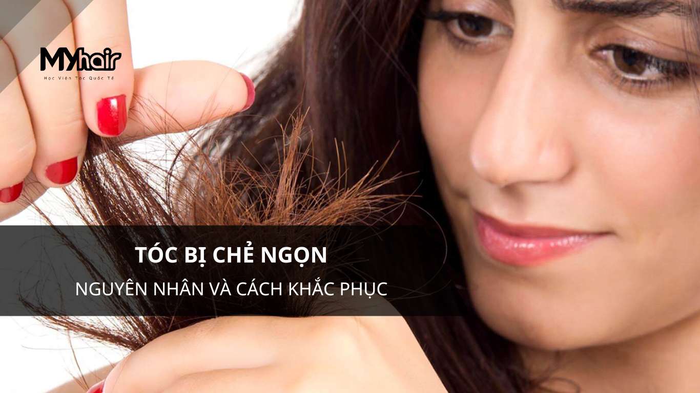 Tóc bị chẻ ngọn – Nguyên nhân và cách khắc phục