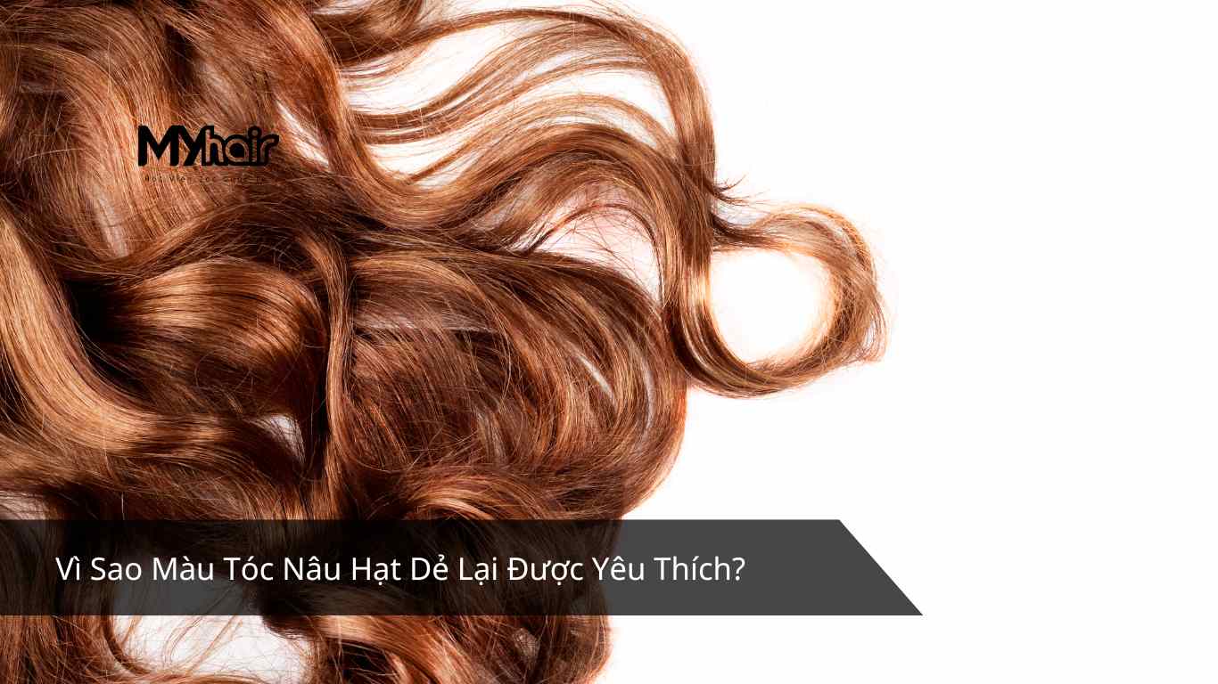 Vì Sao Màu Tóc Nâu Hạt Dẻ Lại Được Yêu Thích?