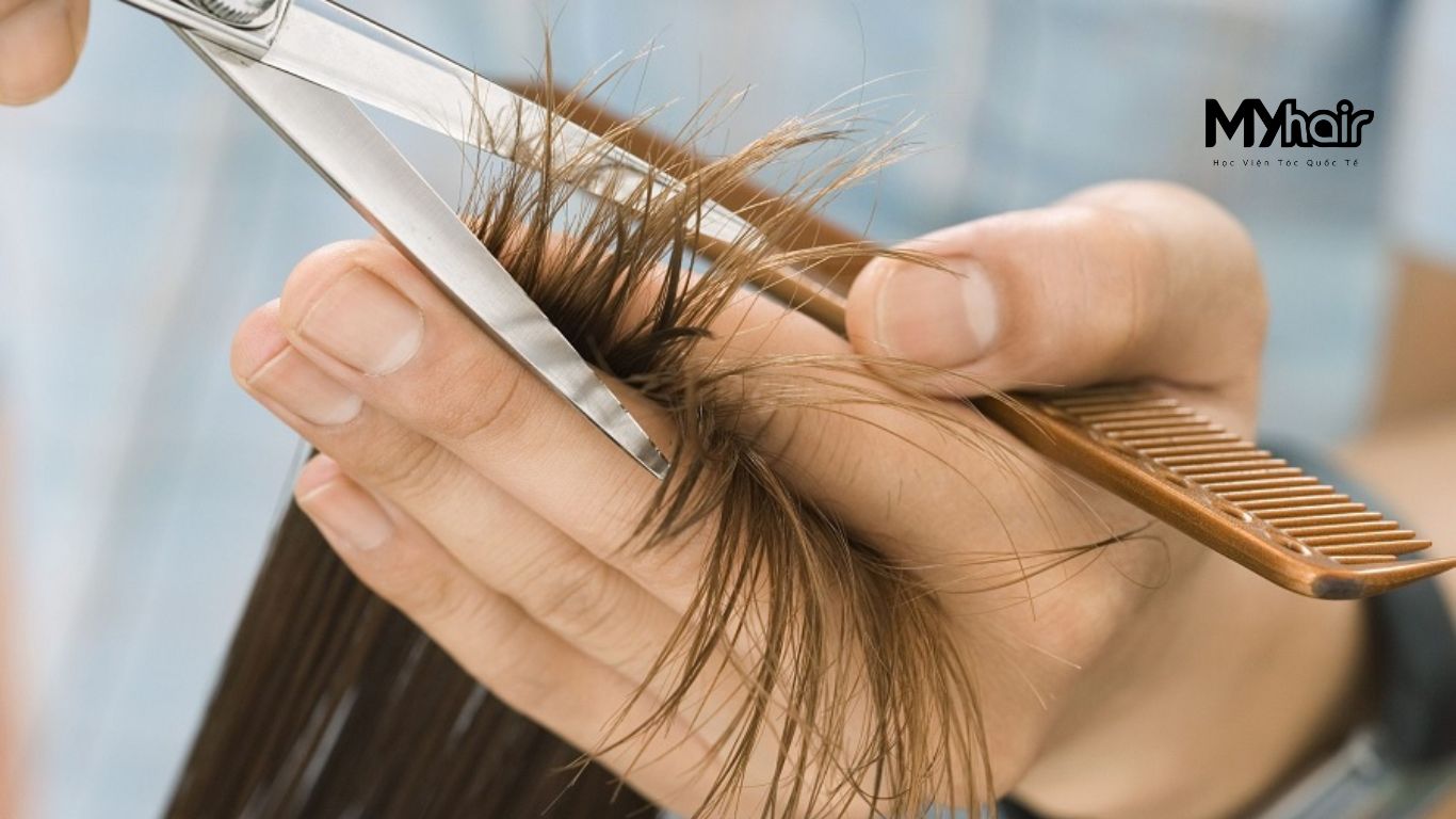 Học nghề tóc miễn phí có được cấp chứng chỉ – Cơ hội nghề nghiệp ổn định