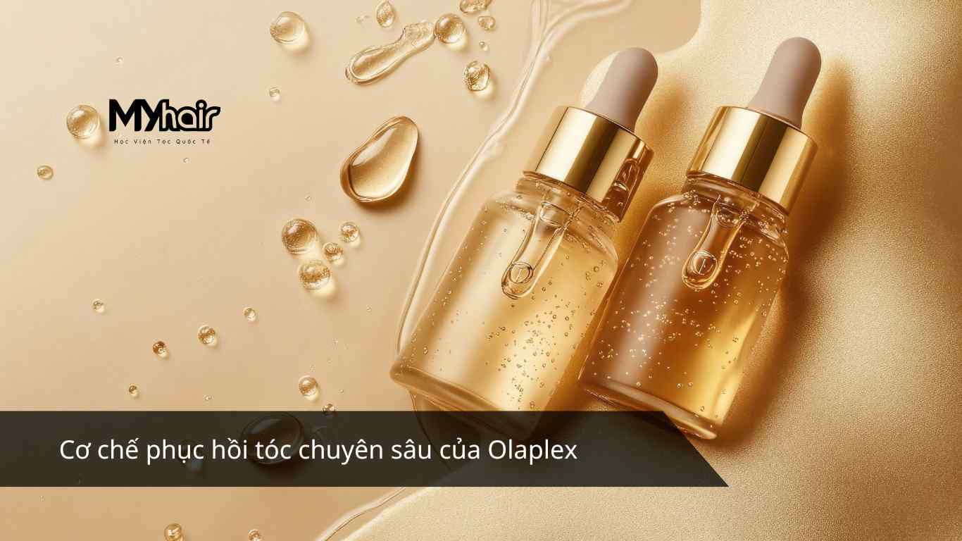 Cơ chế phục hồi tóc chuyên sâu của Olaplex