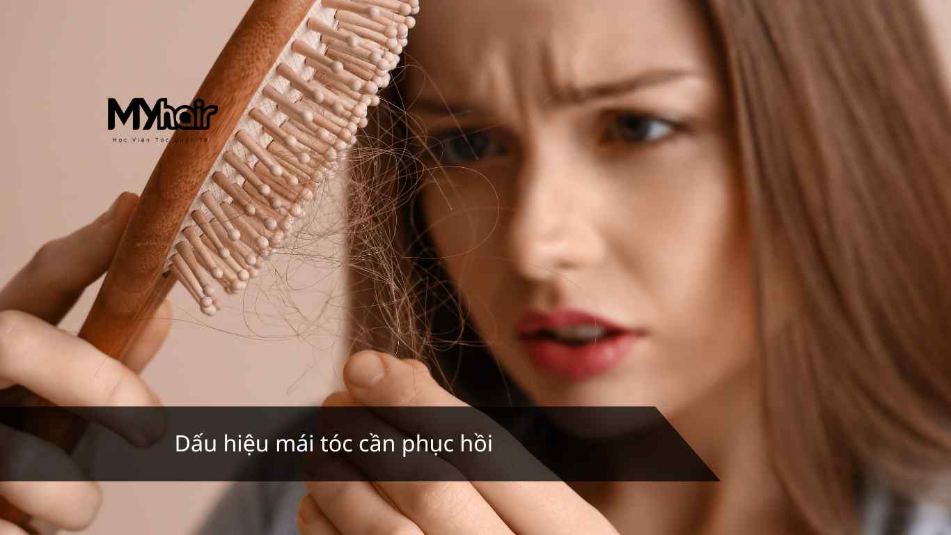 Dấu hiệu mái tóc cần phục hồi