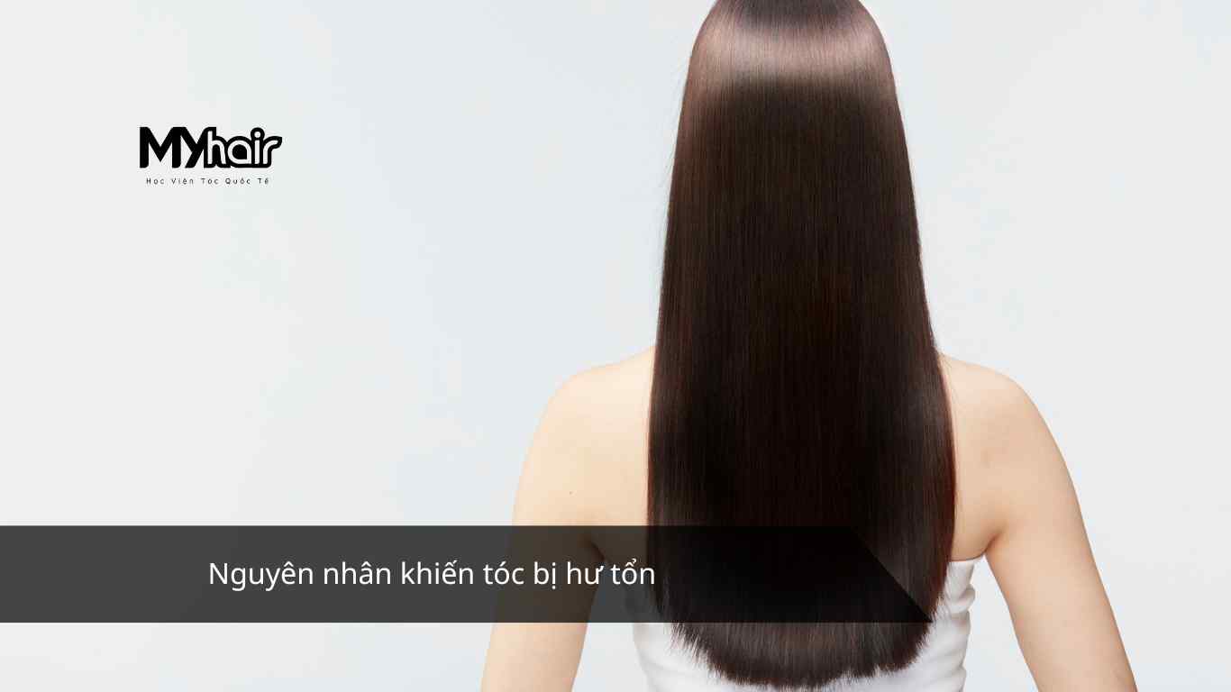 Nguyên nhân khiến tóc bị hư tổn