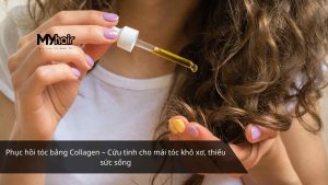 Phục hồi tóc bằng Collagen – Cứu tinh cho mái tóc khô xơ, thiếu sức sống