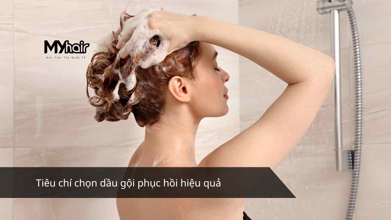 Tiêu chí chọn dầu gội phục hồi hiệu quả