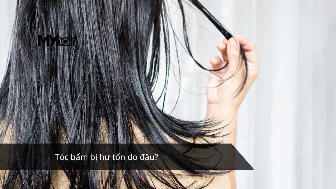 Tóc bấm bị hư tổn do đâu?