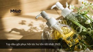 Top dầu gội phục hồi tóc hư tổn tốt nhất 2025