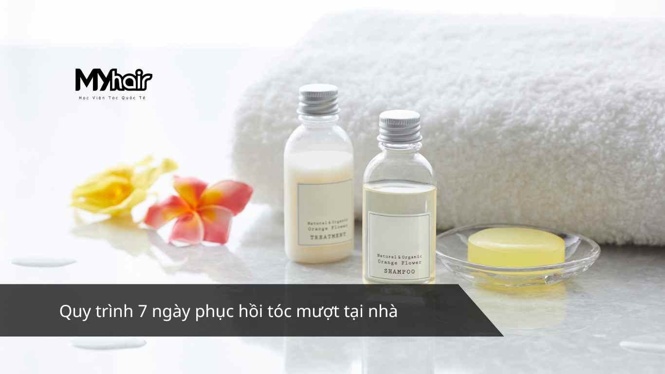 Quy trình 7 ngày phục hồi tóc mượt tại nhà