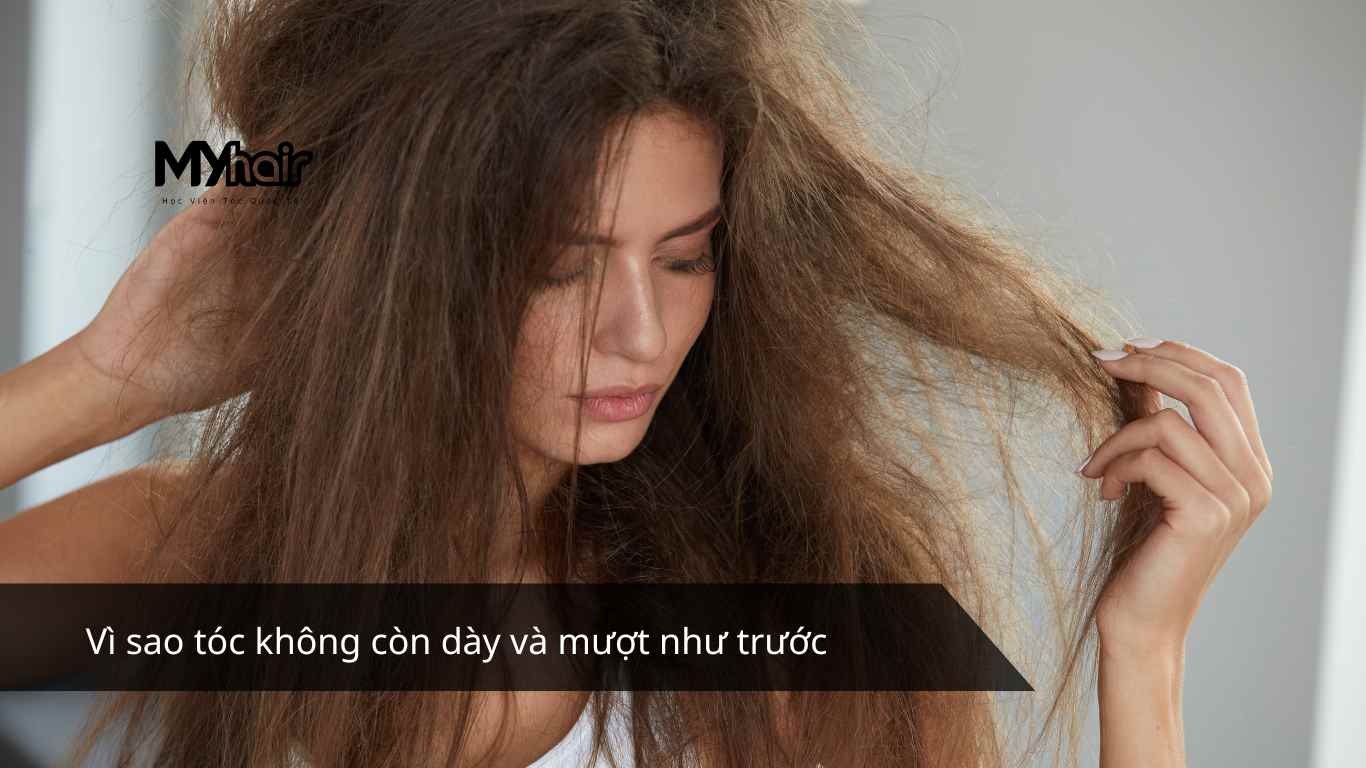 Vì sao tóc không còn dày và mượt như trước