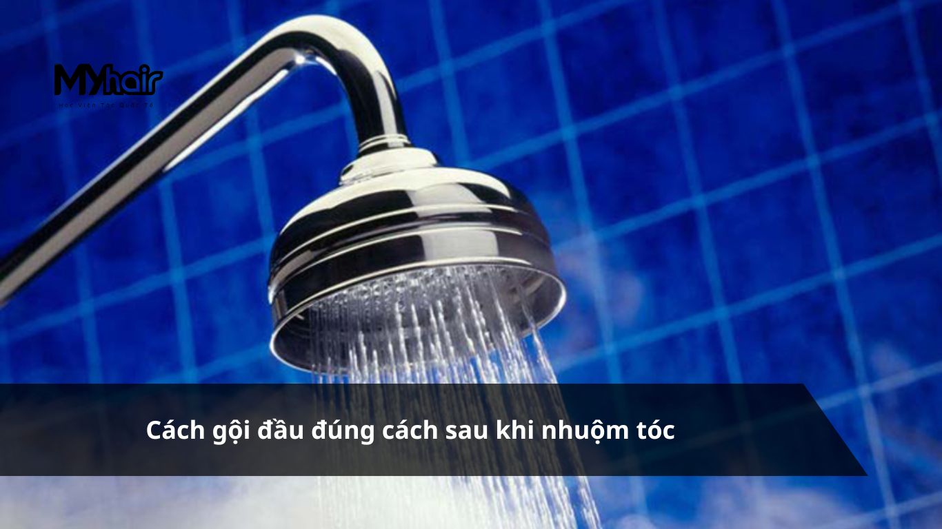 Nhuộm tóc xong có nên gội đầu bằng dầu gội – Cách gội đầu đúng cách sau khi nhuộm tóc