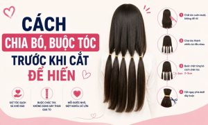 Cách chia bó, buộc tóc trước khi cắt để hiến