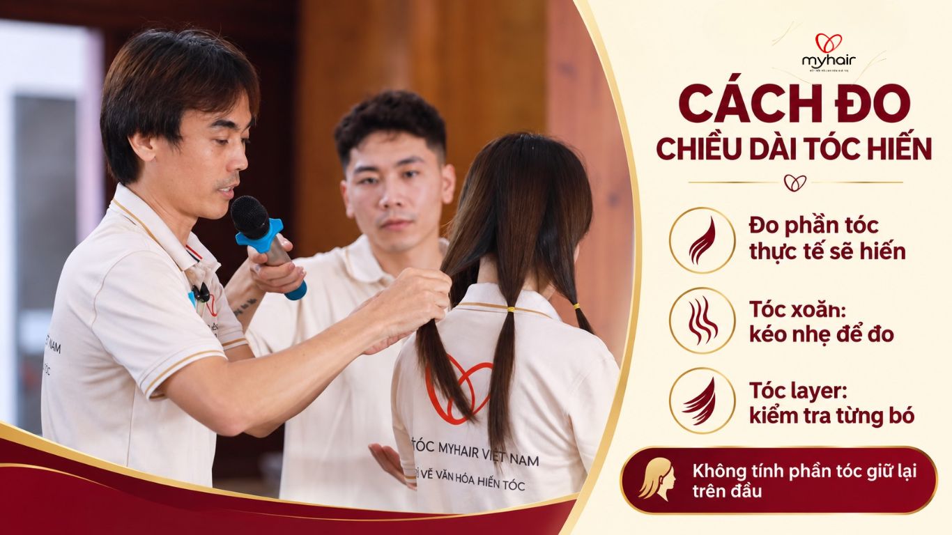 Cách đo tóc hiến