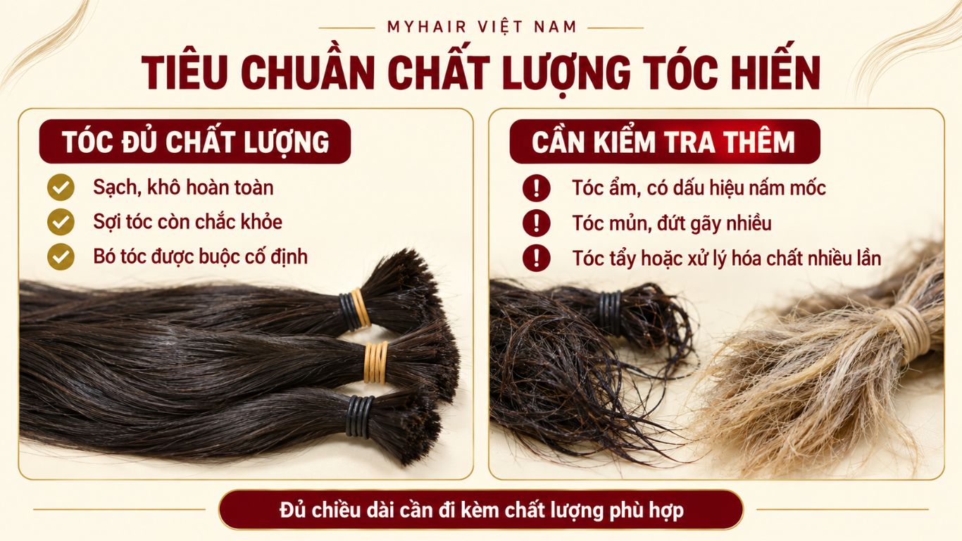 Tiêu chuẩn hiến tóc 2026 – Chất lượng tóc hiến tại Myhair Việt Nam