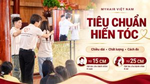 Tiêu chuẩn hiến tóc Myhair Việt Nam