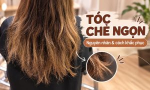 Tóc Chẻ Ngọn: Nguyên Nhân Và Cách Khắc Phục