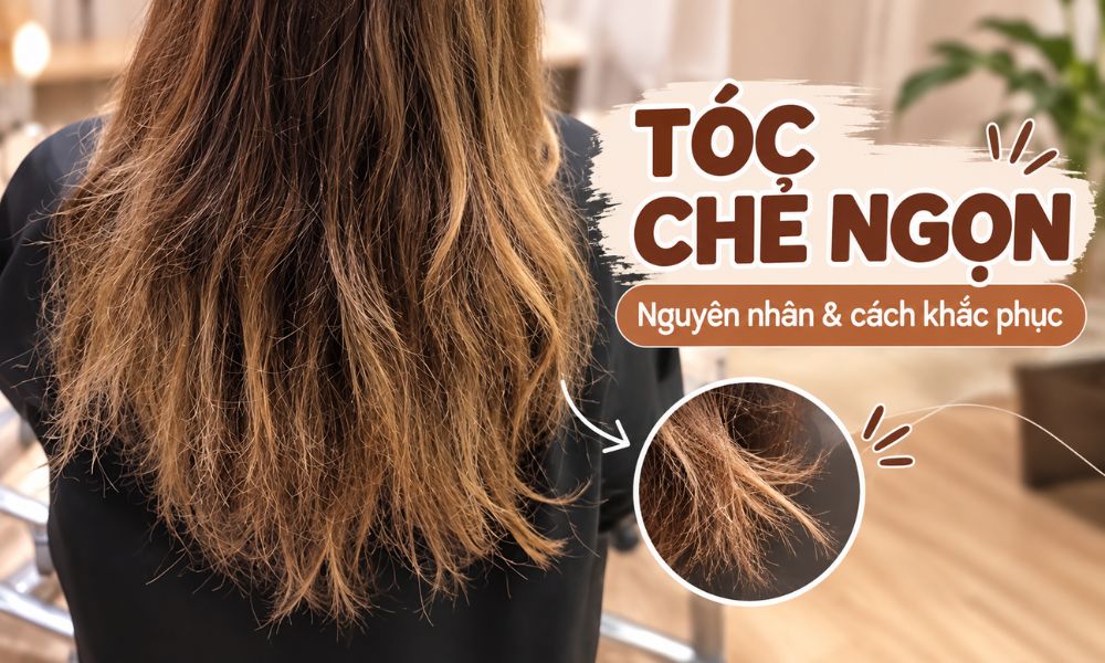 Tóc Chẻ Ngọn: Nguyên Nhân Và Cách Khắc Phục