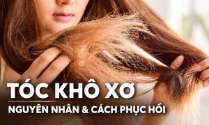 Tóc Khô Xơ: Nguyên Nhân Và Cách Phục Hồi Tại Nhà