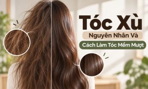 Tóc Xù: Nguyên Nhân Và Cách Làm Tóc Mềm Mượt